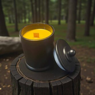 LEMONGRASS & PERSIAN LIME CANDLE